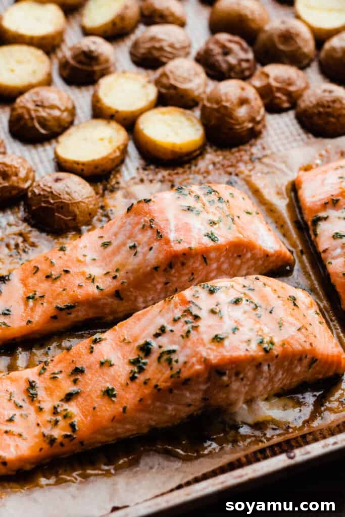 Sheet Pan Caramelized Maple Salmon with Crispy Potatoes 7 A sheet pan of the baked salmon & roasted potatoes right out of the oven.