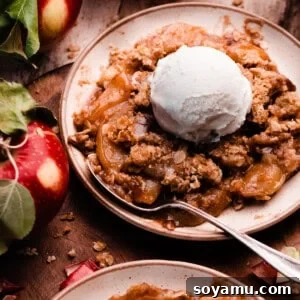 Plates of apple crisp topped with vanilla ice cream.