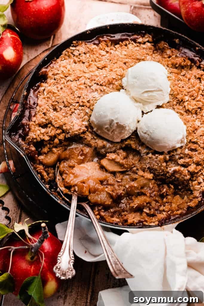 A skillet of apple crisp with scoops of ice cream and scoops of crisp missing.