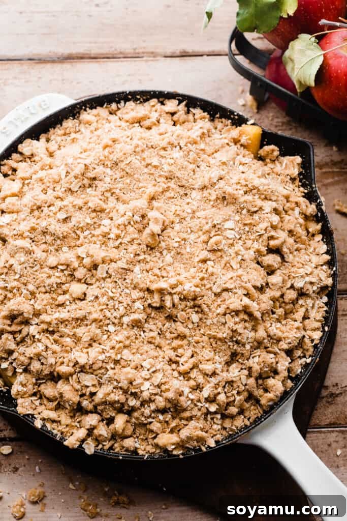 The unbaked apple crisp.