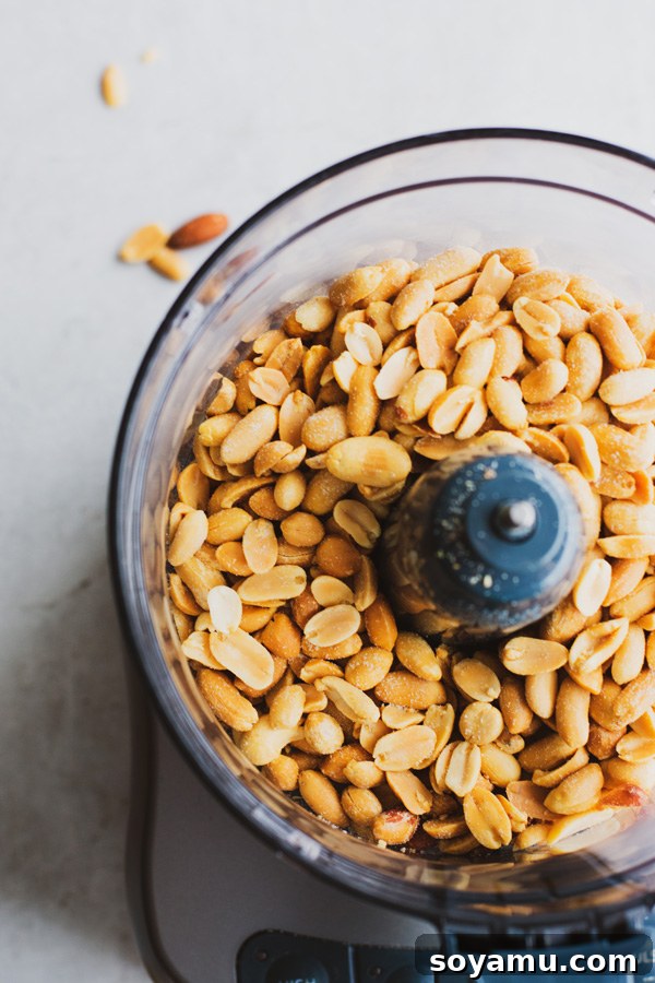 Freshly Made Peanut Butter 3 Peanuts begin to crumble in food processor