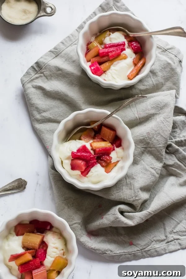 Effortless Vanilla Bean Ice Cream with Sweet Roasted Rhubarb 2 Creamy No-Churn Vanilla Ice Cream with vibrant Roasted Rhubarb topping in a serving bowl