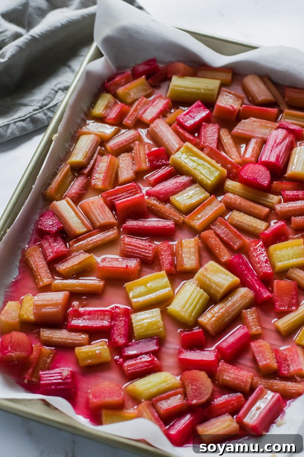 Effortless Vanilla Bean Ice Cream with Sweet Roasted Rhubarb 4 Multiple scoops of No-Churn Vanilla Ice Cream lavishly topped with saucy roasted rhubarb in a bowl
