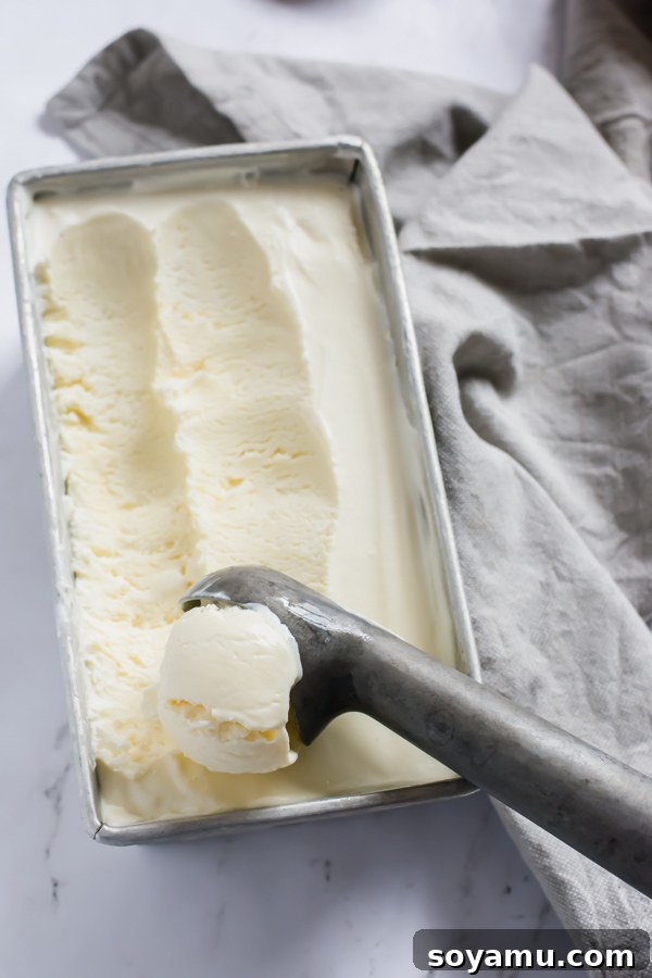 Effortless Vanilla Bean Ice Cream with Sweet Roasted Rhubarb 8 Homemade no-churn vanilla ice cream prepared in a loaf pan, securely covered for optimal freezing