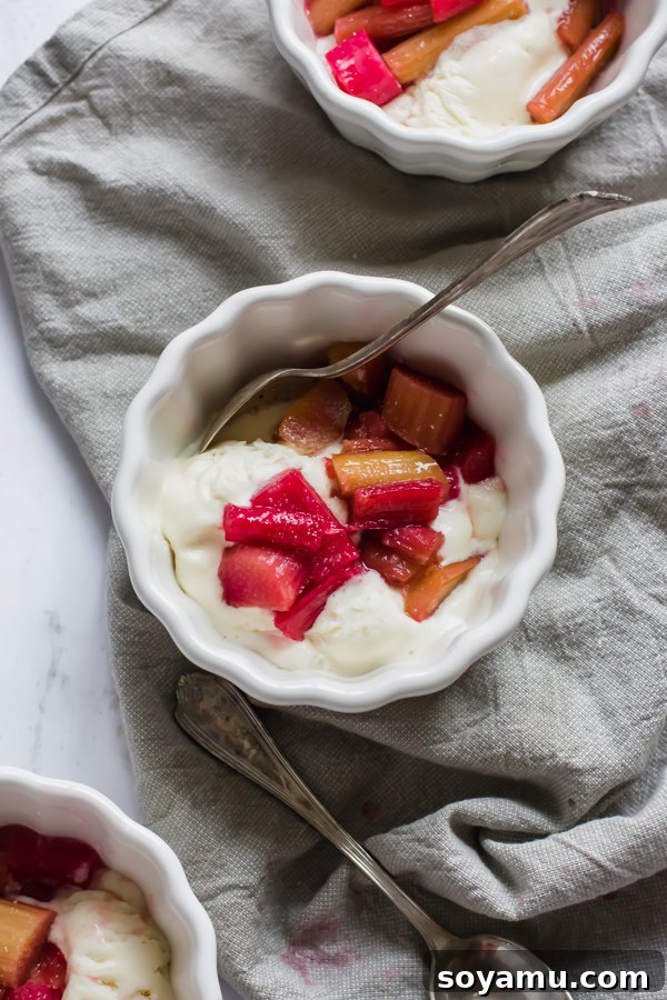 Effortless Vanilla Bean Ice Cream with Sweet Roasted Rhubarb 9 A beautifully composed serving of no-churn vanilla ice cream generously drizzled with warm roasted rhubarb sauce