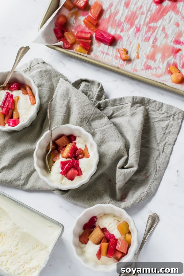 Effortless Vanilla Bean Ice Cream with Sweet Roasted Rhubarb 10 A delectable bowl of homemade No-Churn Vanilla Ice Cream with roasted rhubarb, ready to be savored