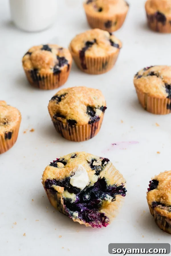Buttermilk Blueberry Muffins Buttermilk Blueberry Muffins - These muffins are the best! They're loaded with juicy blueberries and have a perfectly crunchy top. Bake them all summer long! #blueberrymuffins #blueberryrecipes #summerrecipes #muffinrecipes #bakingrecipe #blueberrymuffinrecipe