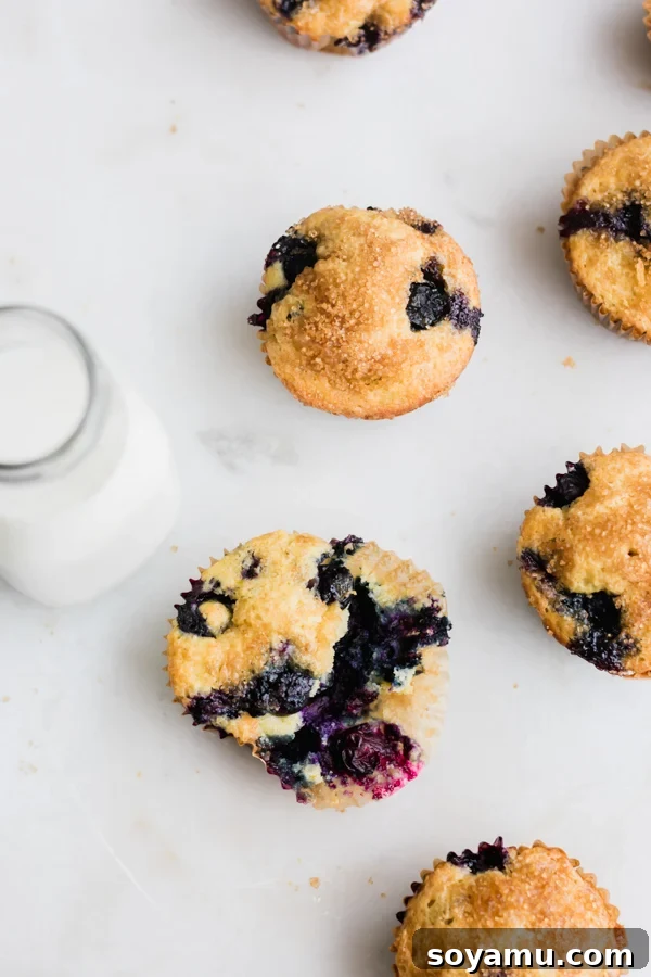 Buttermilk Blueberry Muffins Buttermilk Blueberry Muffins on a cooling rack
