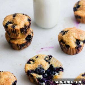 Fluffy Buttermilk Blueberry Muffins 2 Buttermilk Blueberry Muffins finished product