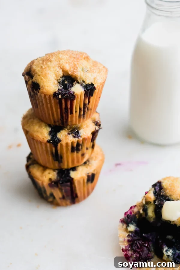 Stack of Buttermilk Blueberry Muffins Stack of Buttermilk Blueberry Muffins