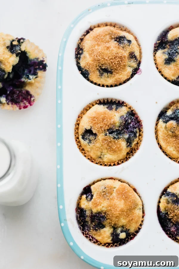 Buttermilk Blueberry Muffins before baking Buttermilk Blueberry Muffins in a pan before baking