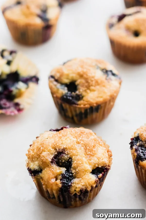 Buttermilk Blueberry Muffins Buttermilk Blueberry Muffins served with coffee