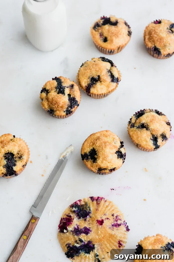 Buttermilk Blueberry Muffins Buttermilk Blueberry Muffins close up