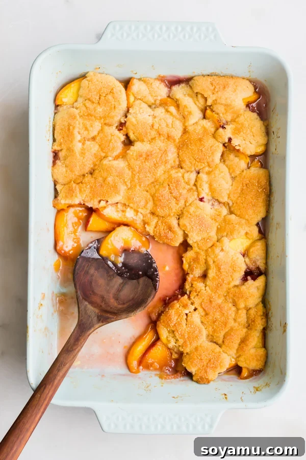 Baked Peach Cobbler in Pan A wide shot of the baked peach cobbler cooling in its pan, showing the golden-brown crust and juicy fruit underneath.