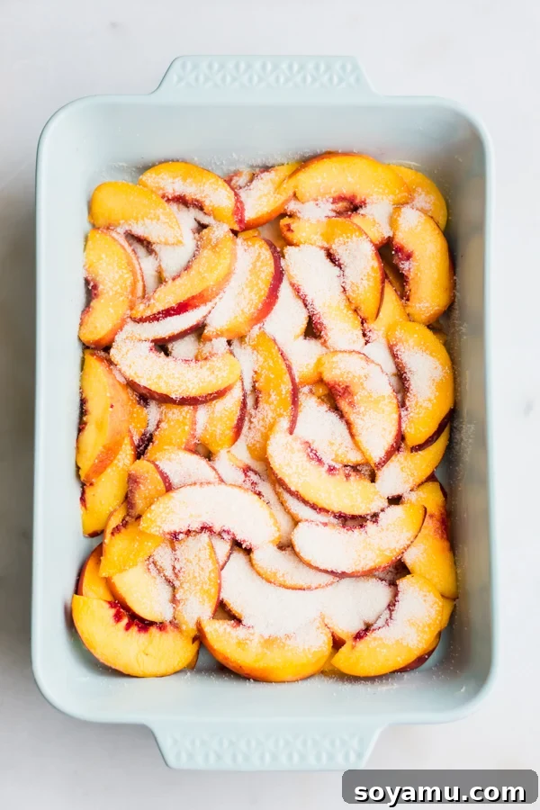 Sliced Peaches and Sugar in a Pan for Cobbler Thinly sliced fresh peaches mixed with sugar in a baking pan, preparing for the cobbler filling.