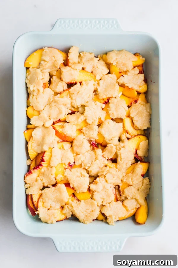 Peaches with Topping Ready for Baking Sliced peaches covered with dollops of the raw topping dough in a baking pan, ready for the oven.