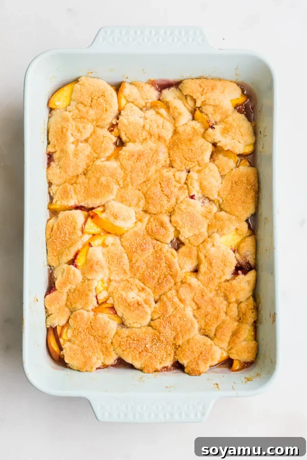 Freshly Baked Peach Cobbler in Pan A golden-brown, freshly baked peach cobbler bubbling in a large rectangular baking pan, straight from the oven.