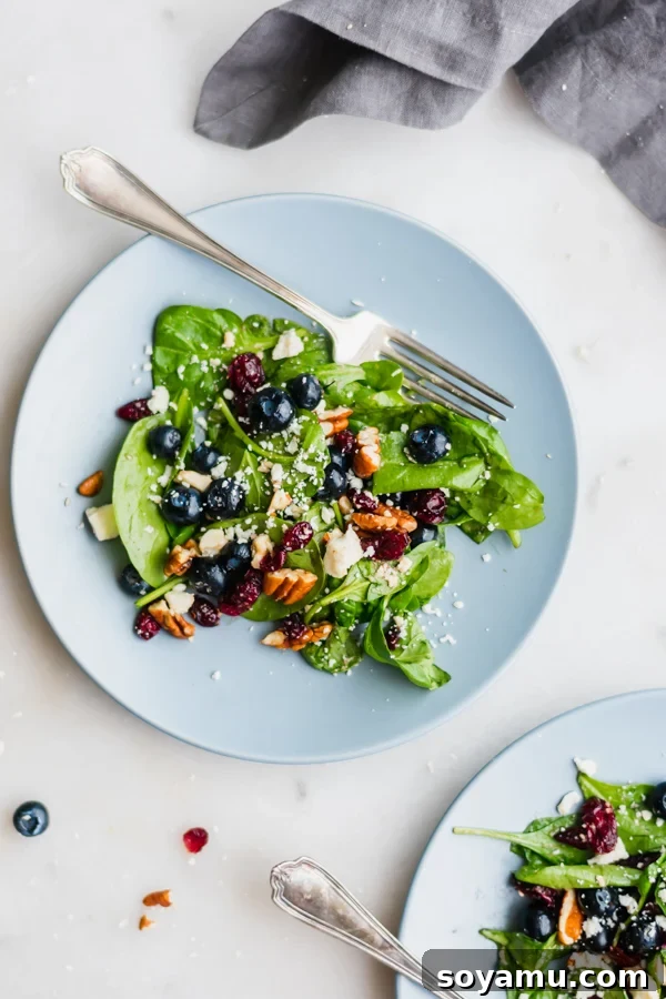 Blueberry Spinach Salad with Honey Balsamic Dressing - A spinach base loaded with blueberries, dried cranberries, pecans, feta cheese, and a simple honey balsamic dressing. I've never loved salad more! #salad #healthyrecipes #blueberries #spinach #mealprep #easyrecipes | bluebowlrecipes.com A beautifully plated Blueberry Spinach Salad with Honey Balsamic Dressing, showcasing fresh ingredients.