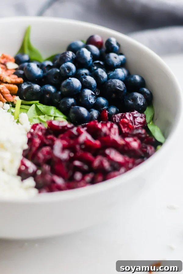 Blueberry Spinach Salad with Honey Balsamic Dressing - A spinach base loaded with blueberries, dried cranberries, pecans, feta cheese, and a simple honey balsamic dressing. I've never loved salad more! #salad #healthyrecipes #blueberries #spinach #mealprep #easyrecipes | bluebowlrecipes.com Close-up of Blueberry Spinach Salad ingredients in a bowl before tossing.