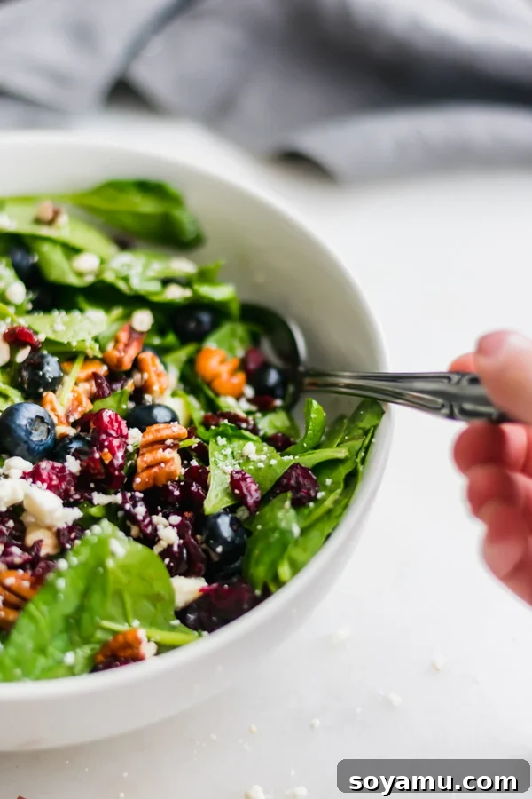 Blueberry Spinach Salad with Honey Balsamic Dressing - A spinach base loaded with blueberries, dried cranberries, pecans, feta cheese, and a simple honey balsamic dressing. I've never loved salad more! #salad #healthyrecipes #blueberries #spinach #mealprep #easyrecipes | bluebowlrecipes.com Another mouthwatering view of the Blueberry Spinach Salad with Honey Balsamic Dressing, highlighting its colorful ingredients.