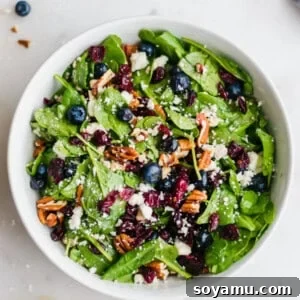 Blueberry Spinach Salad with Honey Balsamic Dressing