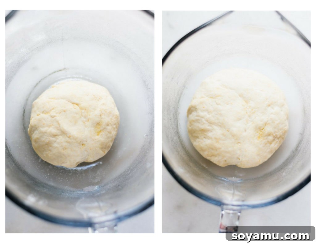 Pizza dough actively rising in a measuring cup, covered with plastic wrap.