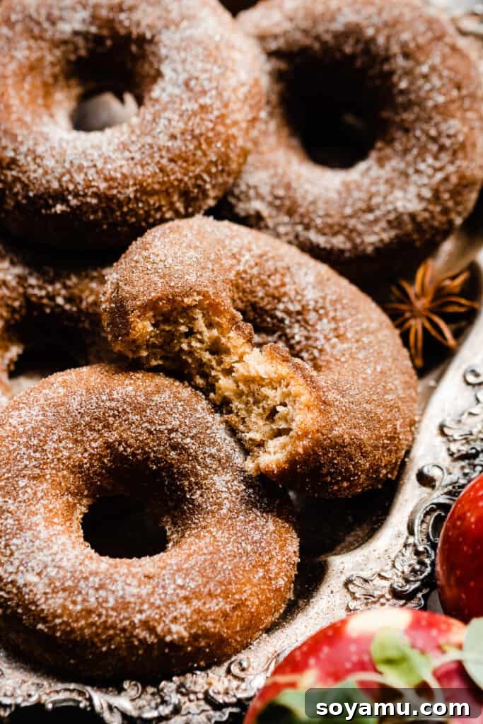 Ultimate Baked Apple Cider Donuts 12 A close-up on a cinnamon sugar coated donut with a bite missing.