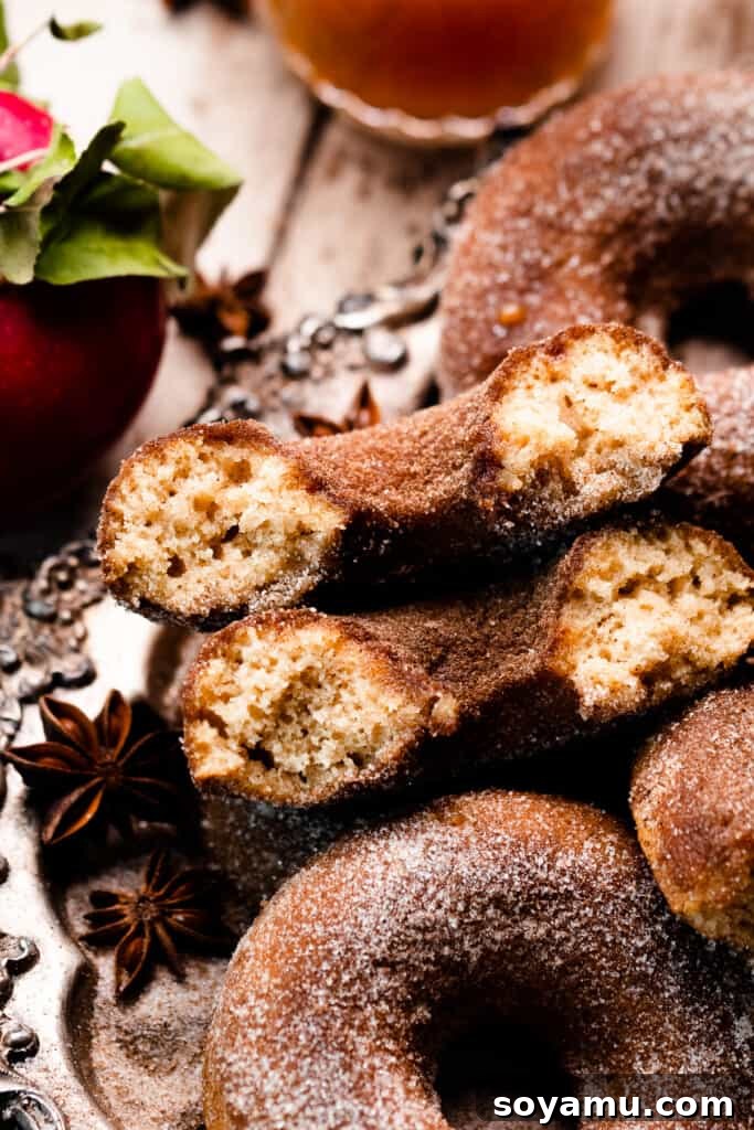 Ultimate Baked Apple Cider Donuts 13 A close-up on two halves of an apple cider donut, showing the fluffy insides.