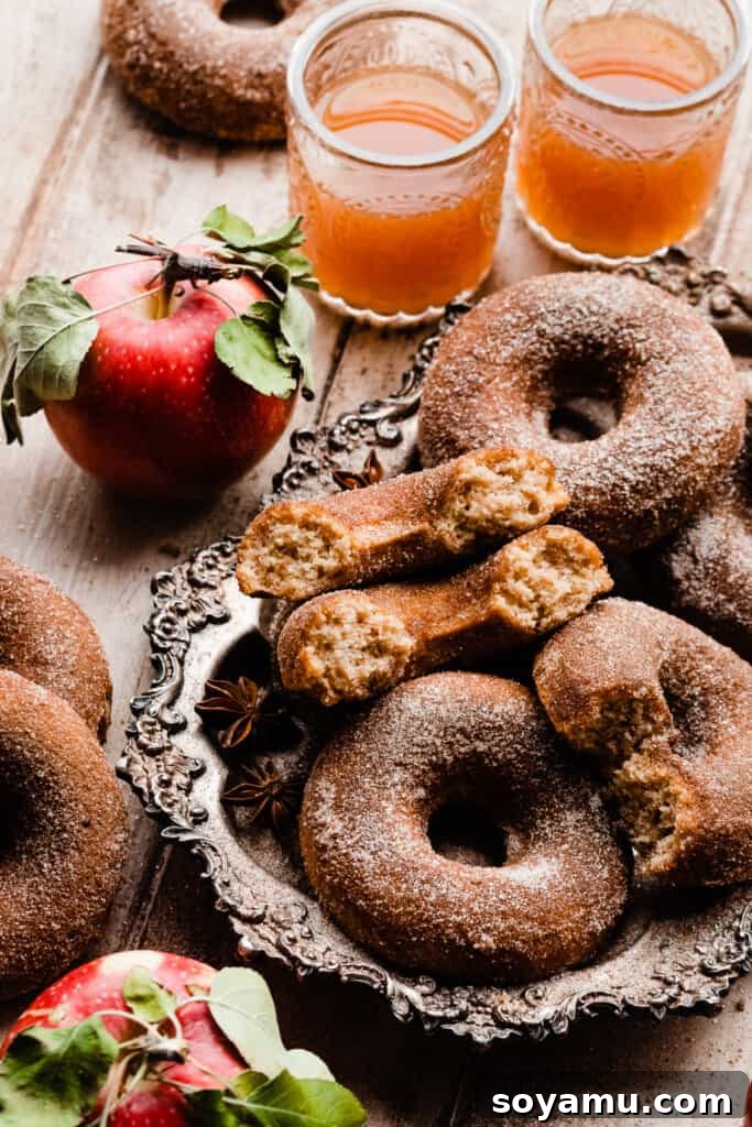 Ultimate Baked Apple Cider Donuts 3 A vintage tray with the baked apple cider donuts.