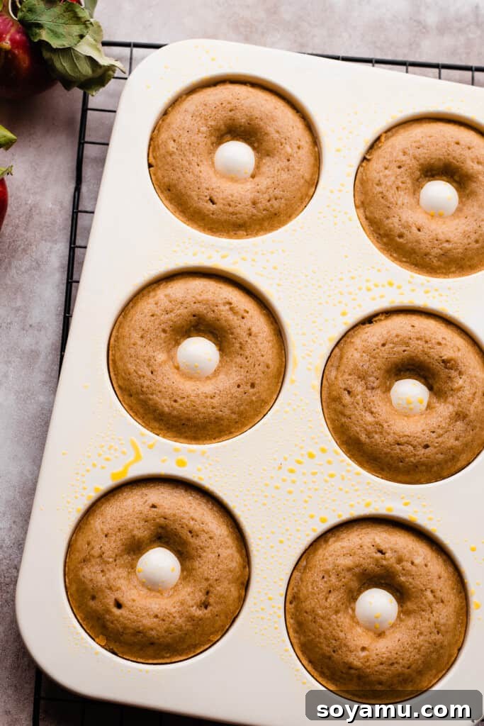 Ultimate Baked Apple Cider Donuts 9 A donut pan with the baked donuts.