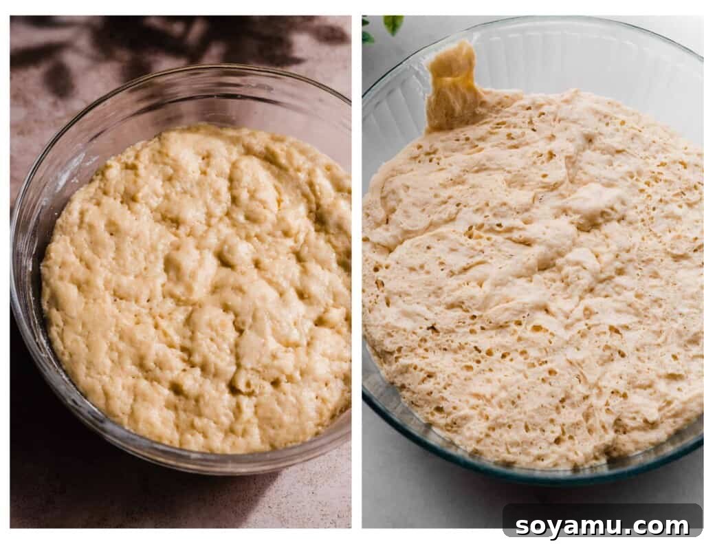 A bowl of the brioche dough after it has rested and chilled in the refrigerator.