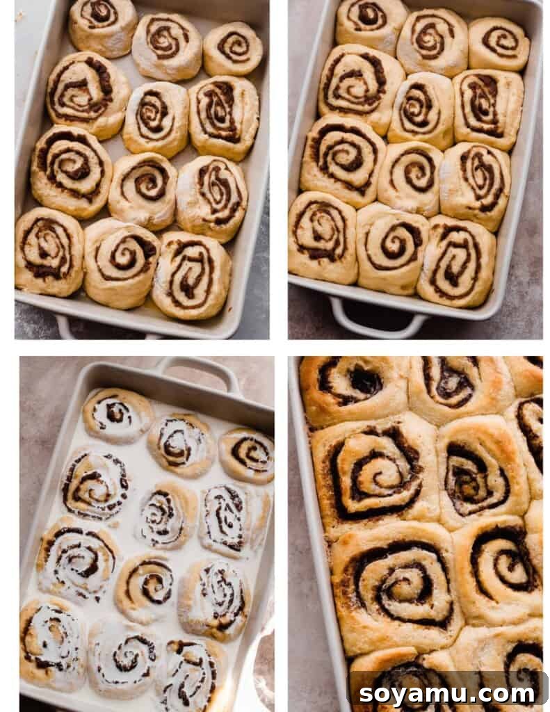 Four images showing the cinnamon rolls: after shaping, after rising, drizzled with heavy cream, and freshly baked.