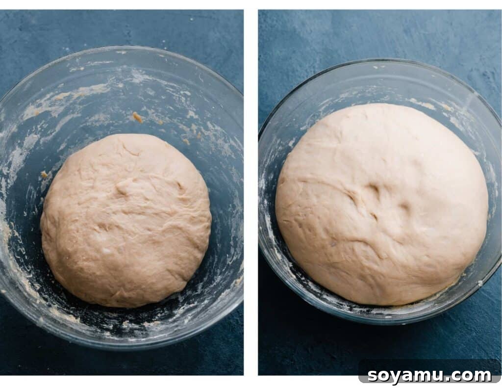 Homemade Soft Pretzel Trio 5 Two images demonstrating the dough's transformation: before rising (smaller) and after rising (doubled in size).