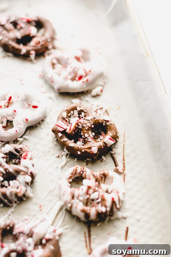 Chocolate Covered Peppermint Pretzels - A quick and festive recipe that will brighten up any holiday cookie plate! All you need is white chocolate, milk chocolate, pretzels, and crushed candy canes! #peppermint #chocolate #chocolatepretzel #christmas #holidayrecipes #nobake #christmasdessert #bluebowlrecipes Chocolate covered peppermint pretzels arranged on a festive plate, ready for holiday serving.