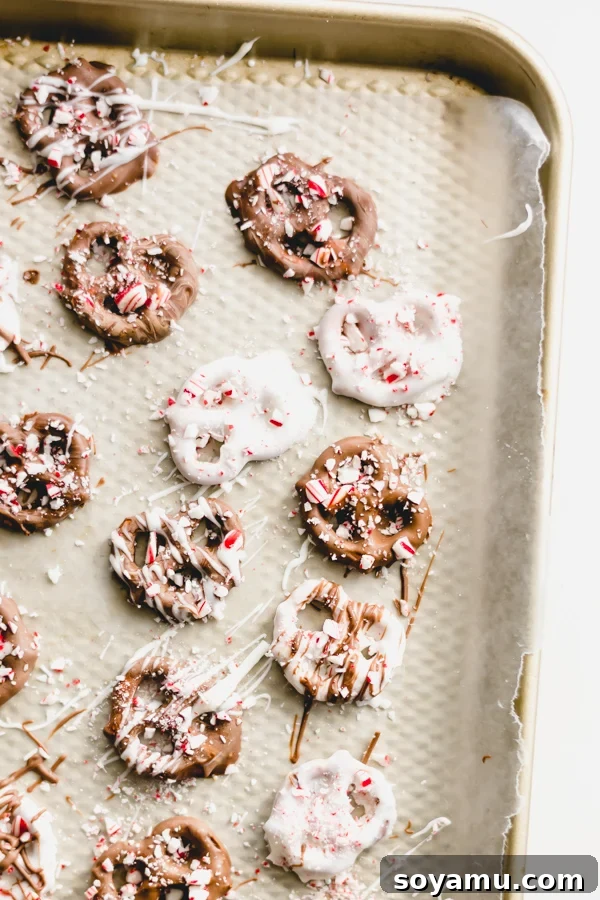 Mint Chocolate Pretzel Crunch 2 A baking sheet lined with wax paper, showcasing freshly dipped chocolate covered peppermint pretzels cooling.