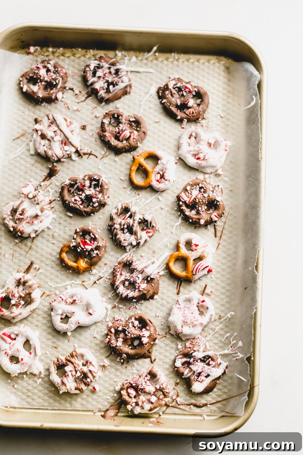 Chocolate Covered Peppermint Pretzels - A quick and festive recipe that will brighten up any holiday cookie plate! All you need is white chocolate, milk chocolate, pretzels, and crushed candy canes! #peppermint #chocolate #chocolatepretzel #christmas #holidayrecipes #nobake #christmasdessert #bluebowlrecipes Rows of freshly made chocolate covered peppermint pretzels cooling on a baking tray lined with wax paper, showcasing their perfect texture.