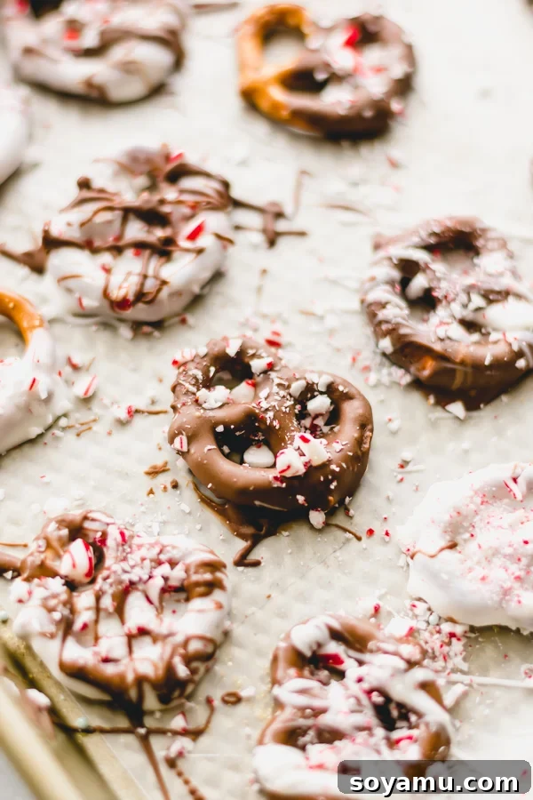 Chocolate Covered Peppermint Pretzels - A quick and festive recipe that will brighten up any holiday cookie plate! All you need is white chocolate, milk chocolate, pretzels, and crushed candy canes! #peppermint #chocolate #chocolatepretzel #christmas #holidayrecipes #nobake #christmasdessert #bluebowlrecipes A close-up view of a beautifully decorated chocolate covered peppermint pretzel, highlighting the rich chocolate and sparkling peppermint pieces.