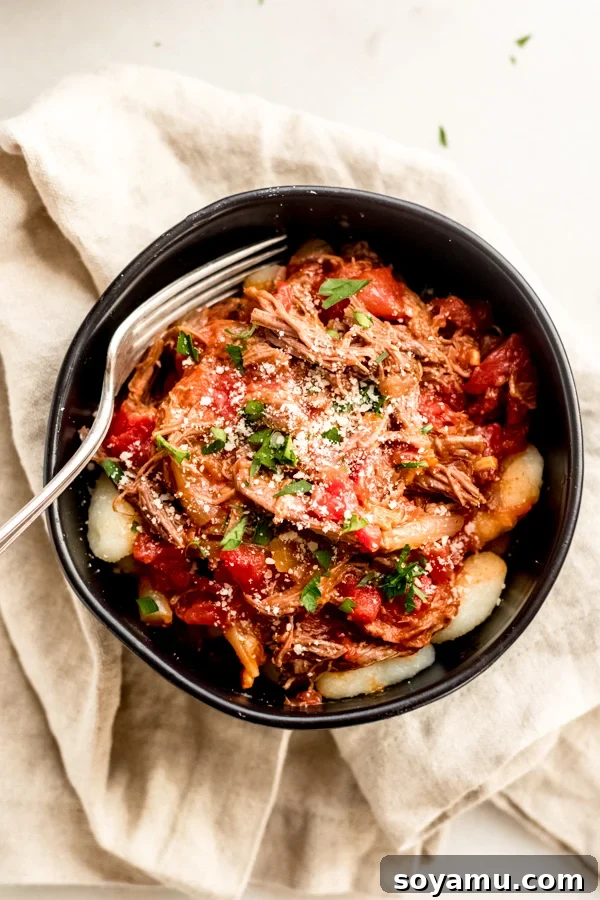 Braised Beef with Tomatoes + Gnocchi - An inviting bowl of warm and savory goodness. Another mouth-watering shot of the finished Braised Beef with Tomatoes and Gnocchi in a bowl.