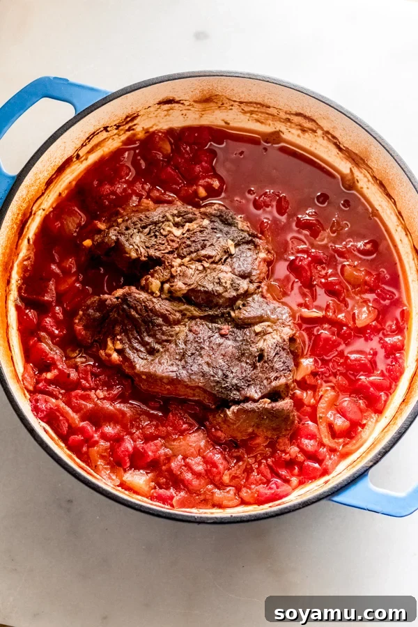Braised Beef with Tomatoes + Gnocchi - Tender beef just out of the oven. The braised beef in the Dutch oven, just out of the oven, before shredding.