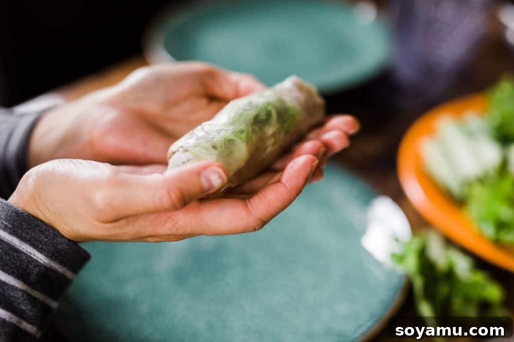 Traditional Vietnamese Spring Rolls - Healthy and fun to make with friends. Fresh Traditional Vietnamese Spring Rolls with marinated beef, shrimp, rice noodles, and crisp vegetables, ready to be dipped.