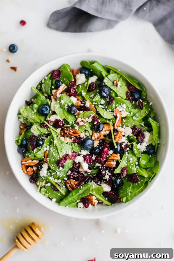 Blueberry Spinach Salad with Honey Balsamic Dressing - Easy and flavorful summer lunch. A refreshing Blueberry Spinach Salad with Honey Balsamic Dressing, featuring fresh blueberries and spinach.