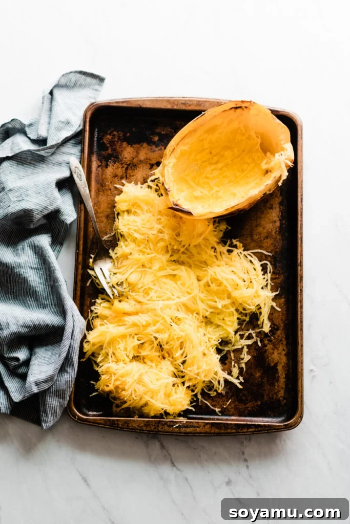 Perfectly Cooked Spaghetti Squash - Versatile healthy pasta alternative. Strands of Perfectly Cooked Spaghetti Squash, separated into spaghetti-like threads, ready for use.