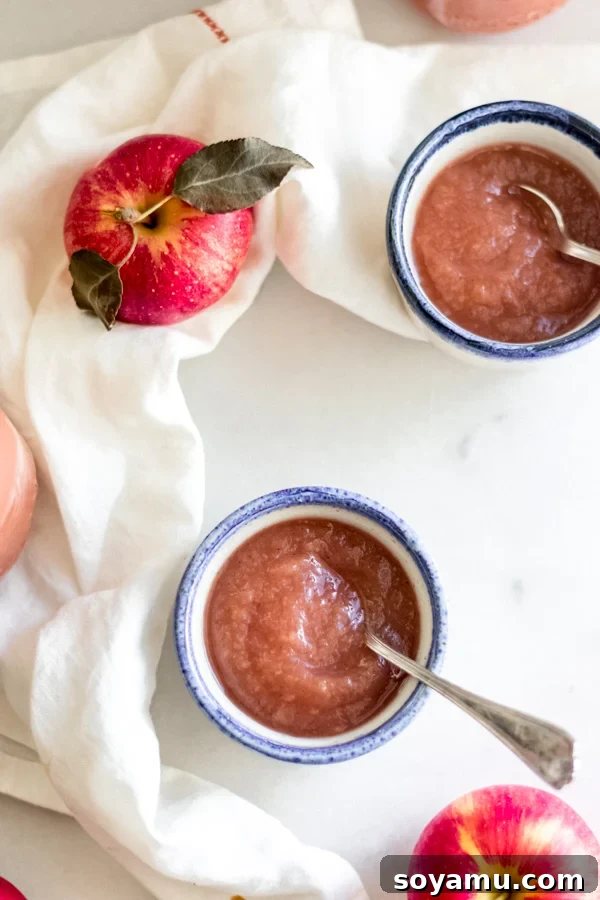 Simple + Amazing Homemade Applesauce - Quick and healthy snack or breakfast addition. A bowl of Simple and Amazing Homemade Applesauce, garnished with cinnamon stick, ready to be enjoyed.