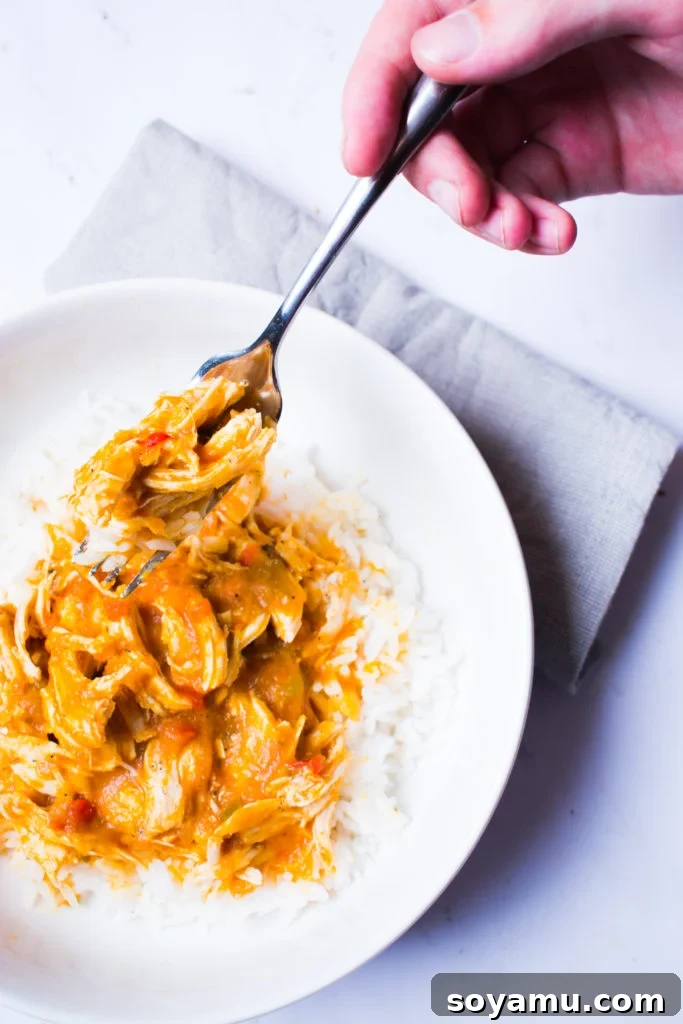 Instant Pot Salsa Chicken - Most popular and easy chicken recipe. A plate of Instant Pot Salsa Chicken, ready to be enjoyed with a side of rice or vegetables.