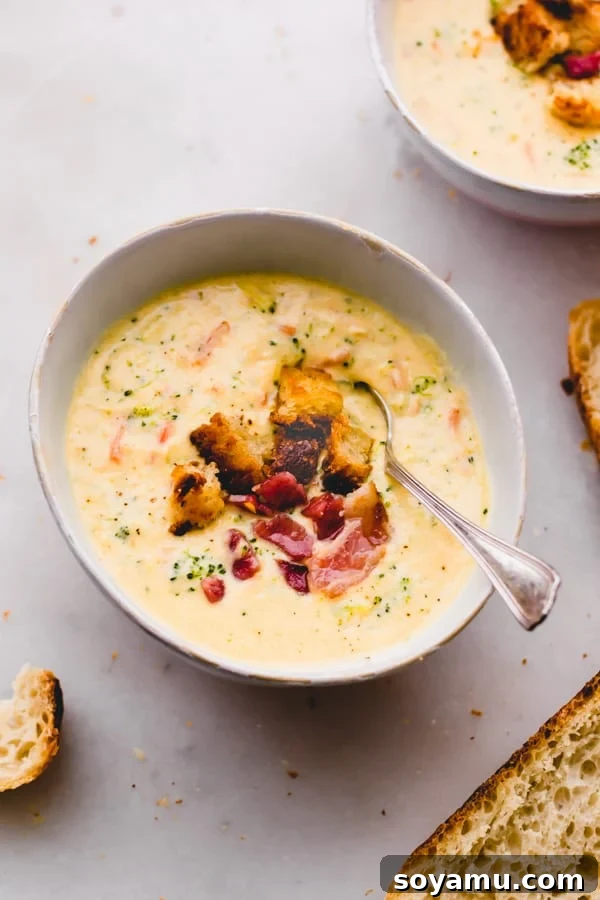 Broccoli Cheddar Soup with Crusty No-Knead Bread A rich and creamy broccoli cheddar soup served in a bowl, alongside slices of homemade crusty no-knead bread.