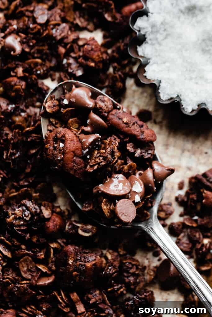 A close-up of a spoonful of dark chocolate granola on a baking sheet, with a small dish of flaky sea salt nearby, highlighting the rich texture and delicious appeal.