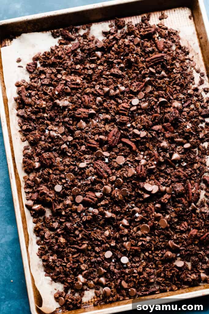 Baked chocolate granola on a sheet pan, showcasing its rich color and inviting texture right out of the oven.