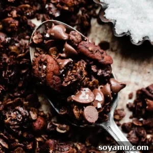 A spoonful of chocolate granola on a sheet pan, with a small dish of flaky sea salt nearby.