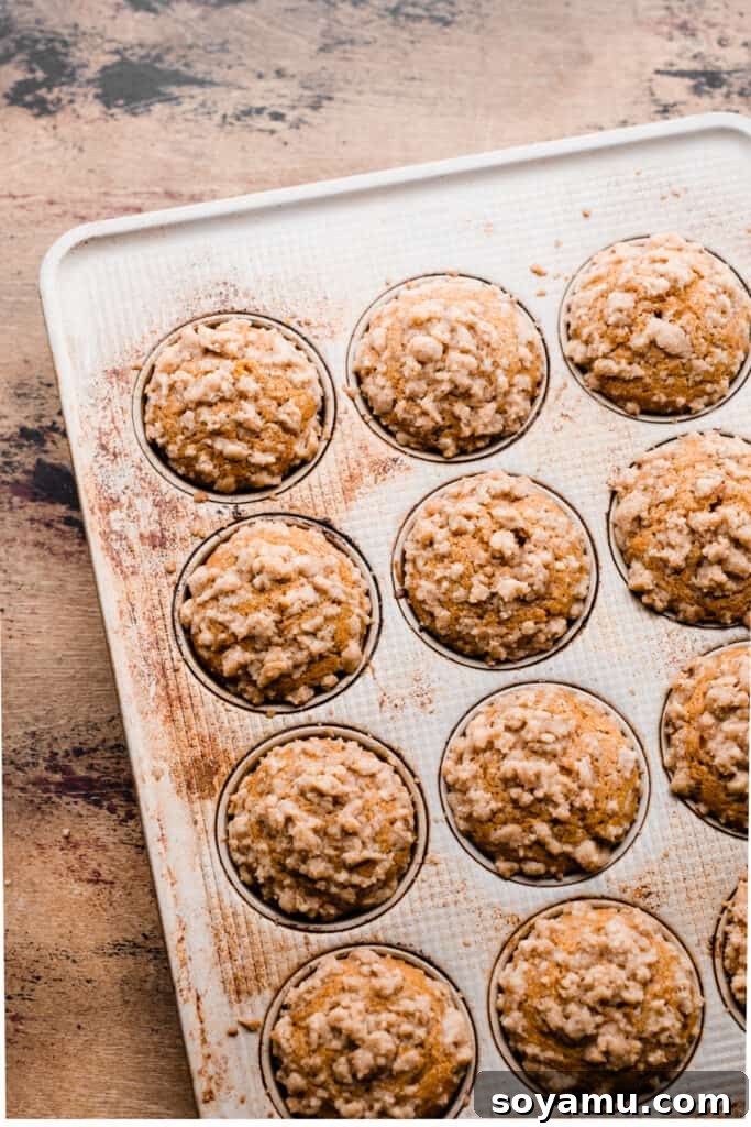 Maple-Drizzled Pumpkin Crumble Muffins 9 Baked muffins in the muffin pan.