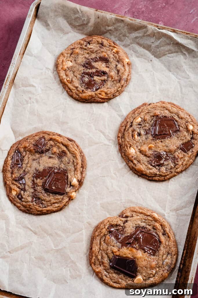 Golden Butterscotch Chocolate Chip Delights 12 Four thin and chewy cookies on a cookie sheet, after the final pan bang.